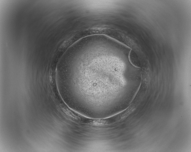 X0000075840758200609291437