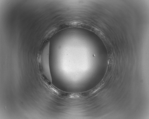 X0000075840762200609291437