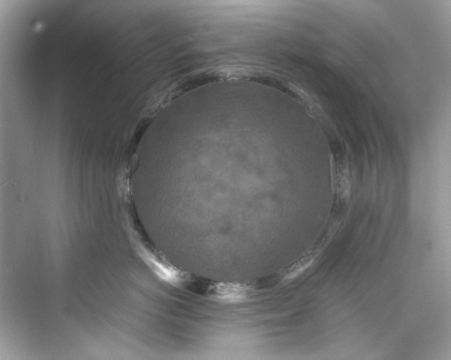 X0000075840766200609291437