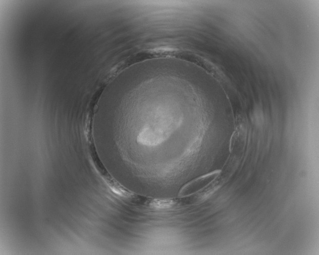 X0000075840767200609291437