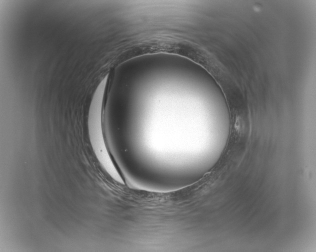 X0000075840771200609291437