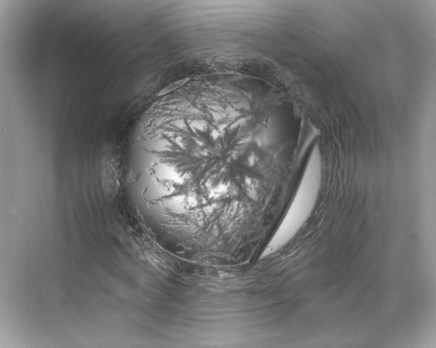 X0000075840772200609291437