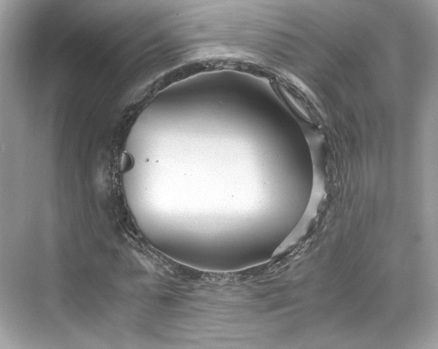 X0000075840775200609291437