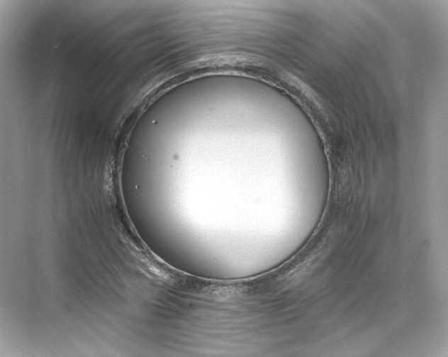 X0000075840778200609291437