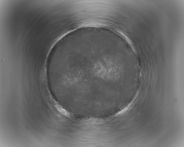 X0000075840779200609291437