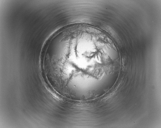 X0000075840780200609291437