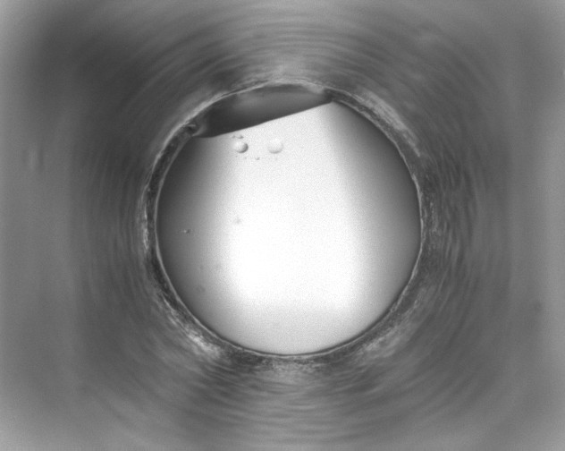 X0000075840782200609291436