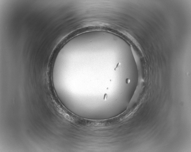 X0000075840783200609291436