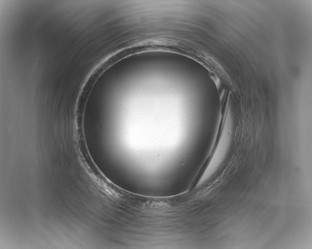 X0000075840784200609291436