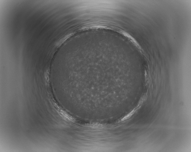 X0000075840785200609291436