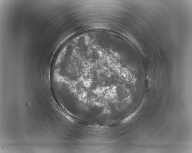 X0000075840790200609291436