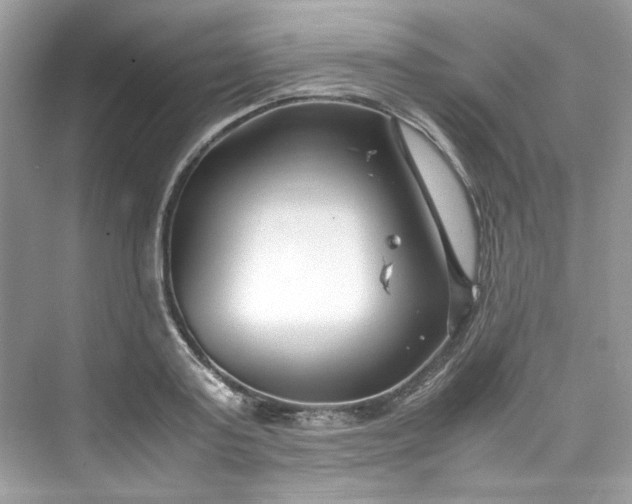 X0000075840795200609291436