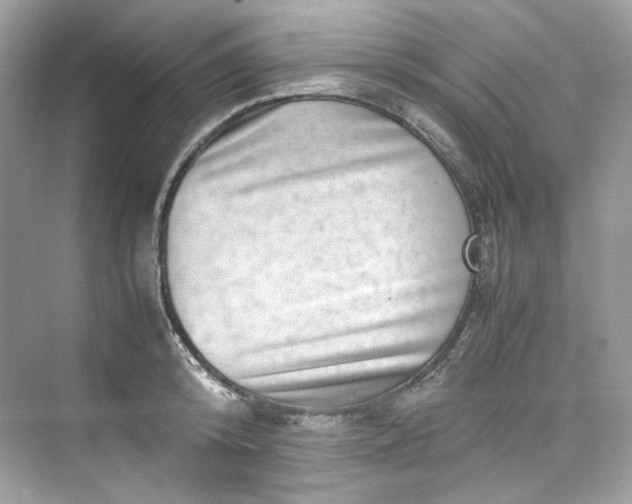 X0000075840800200609291436