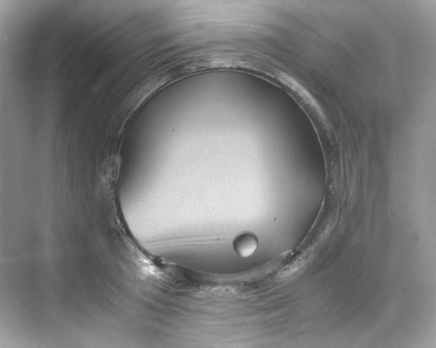 X0000075840801200609291436