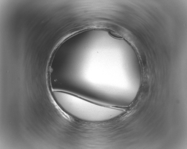 X0000075840803200609291436