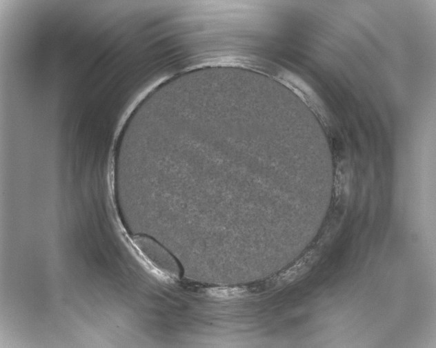 X0000075840804200609291436