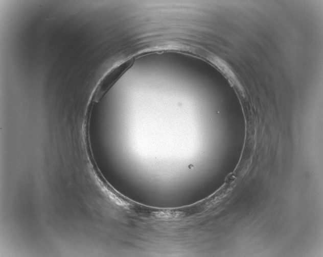 X0000075840805200609291436