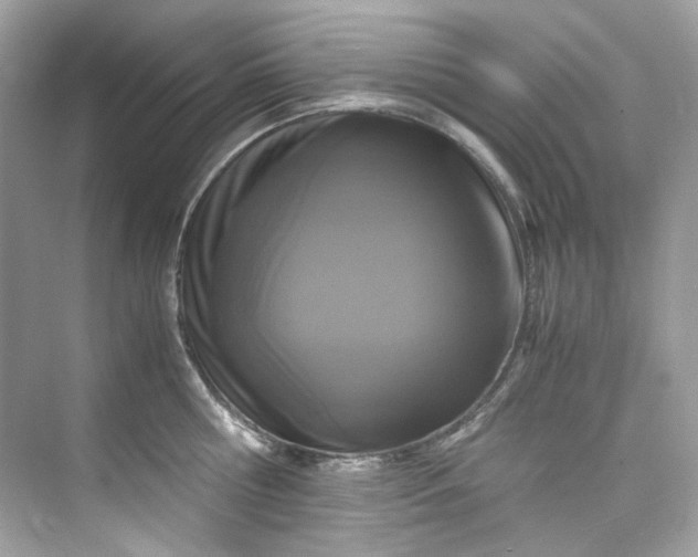 X0000075840810200609291436