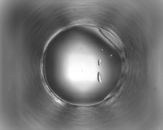 X0000075840812200609291436