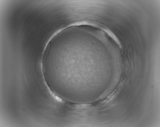 X0000075840813200609291436