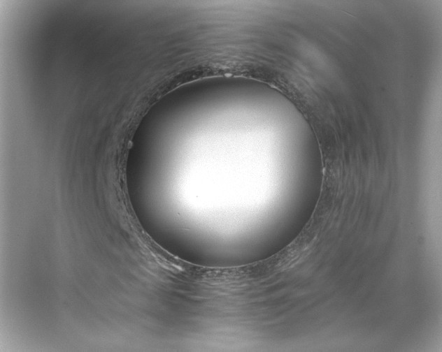 X0000075840817200609291435