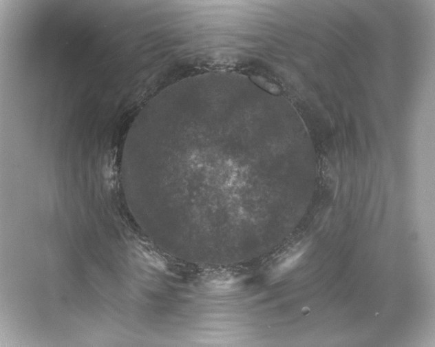 X0000075840818200609291435