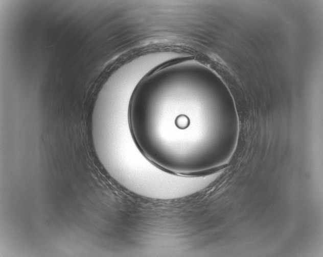 X0000075840822200609291435