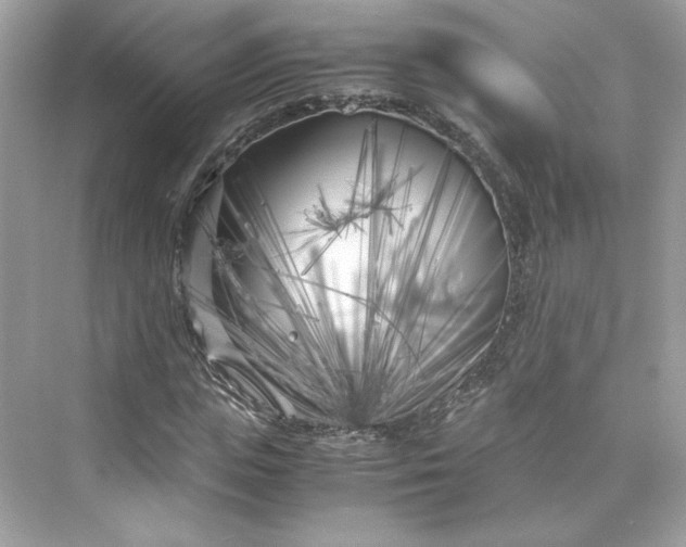 X0000075840823200609291435