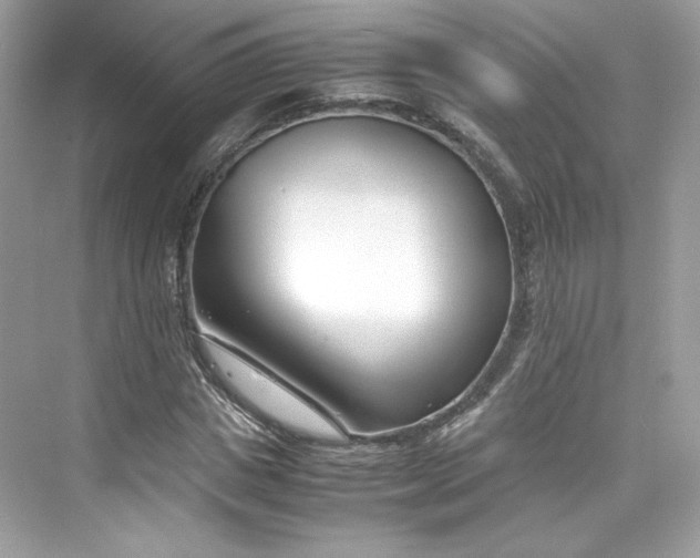 X0000075840825200609291435