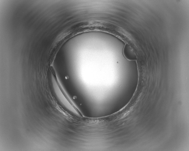 X0000075840826200609291435