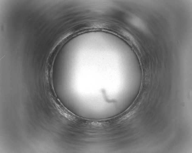 X0000075840827200609291435