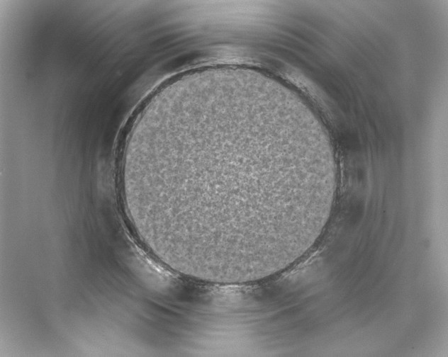 X0000075840828200609291435