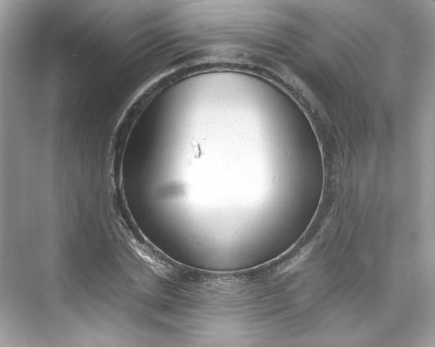 X0000075840830200609291435