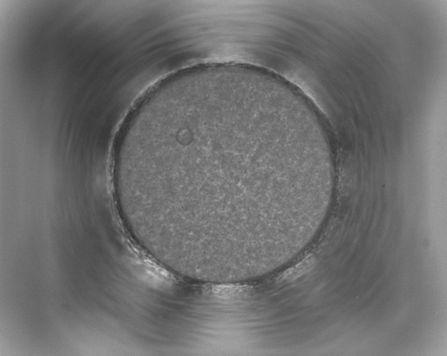 X0000075840832200609291435