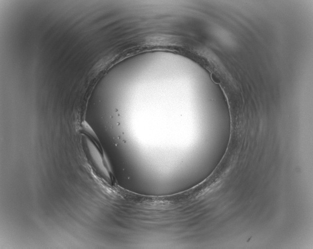 X0000075840833200609291435