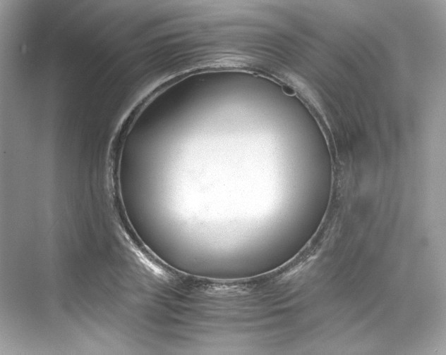 X0000075840835200609291435