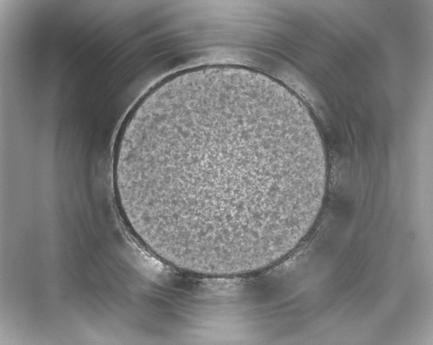 X0000075840836200609291435