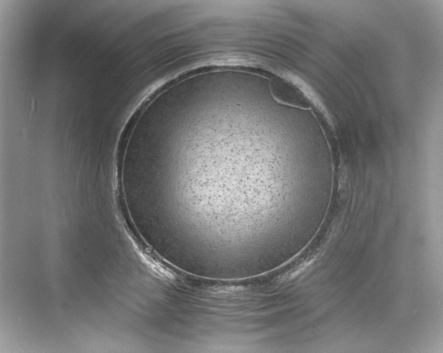 X0000075840837200609291435