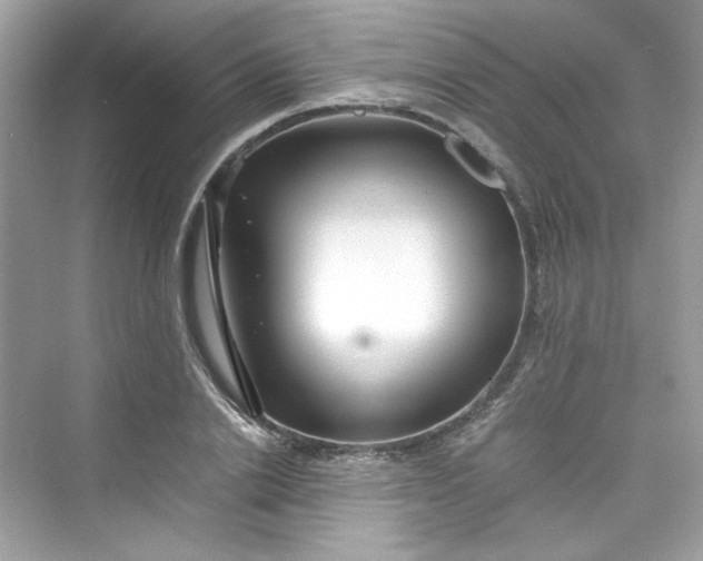 X0000075840838200609291435