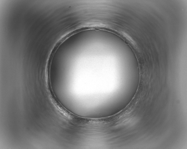 X0000075840840200609291435