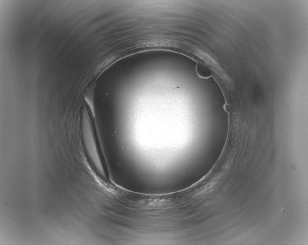 X0000075840841200609291436