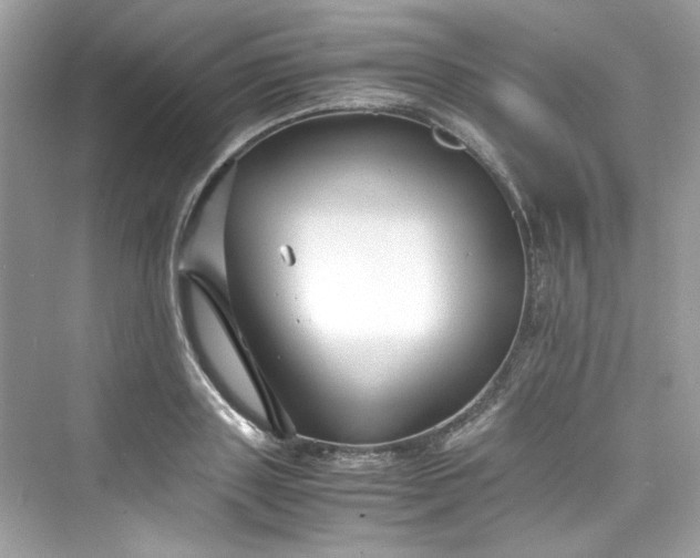 X0000075840843200609291436