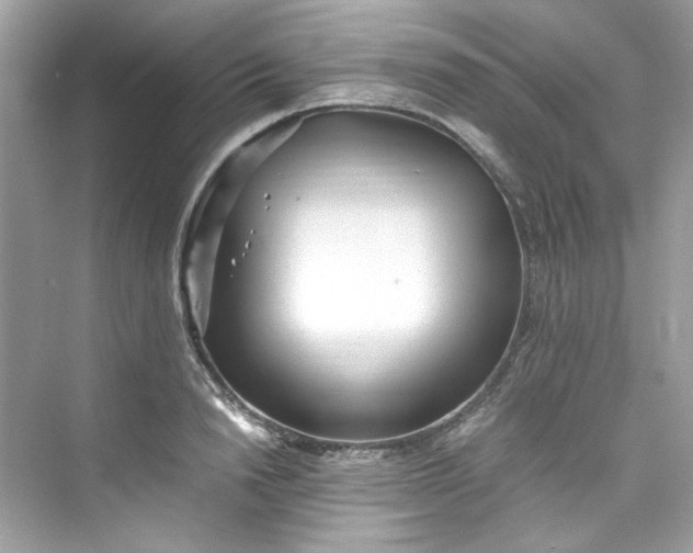 X0000075840846200609291436