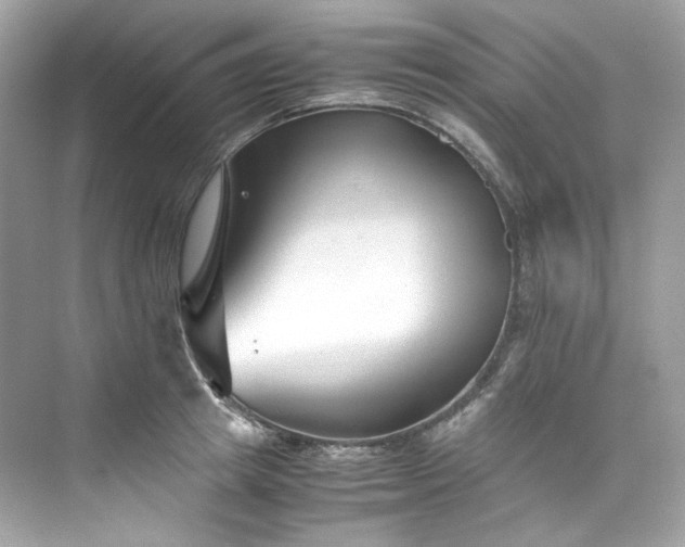 X0000075840849200609291436