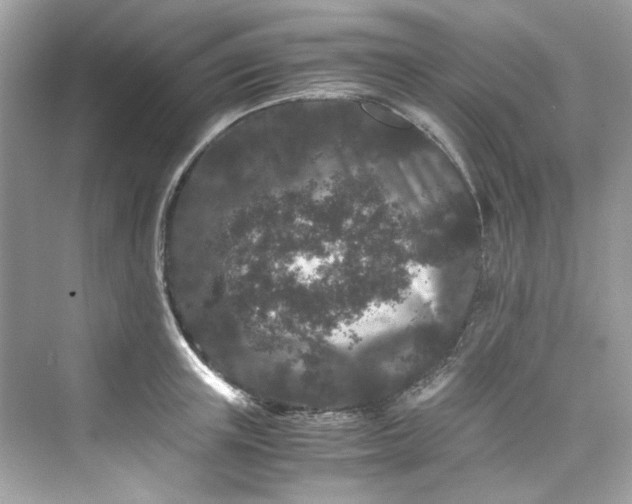 X0000075840851200609291436