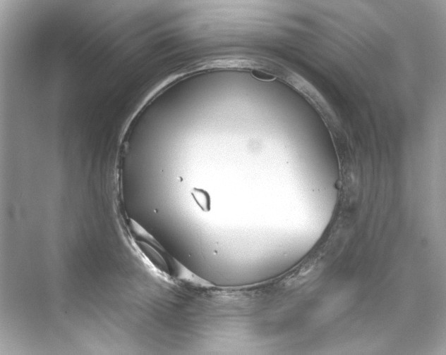 X0000075840852200609291436