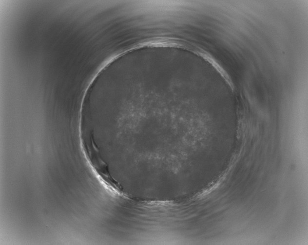 X0000075840853200609291436