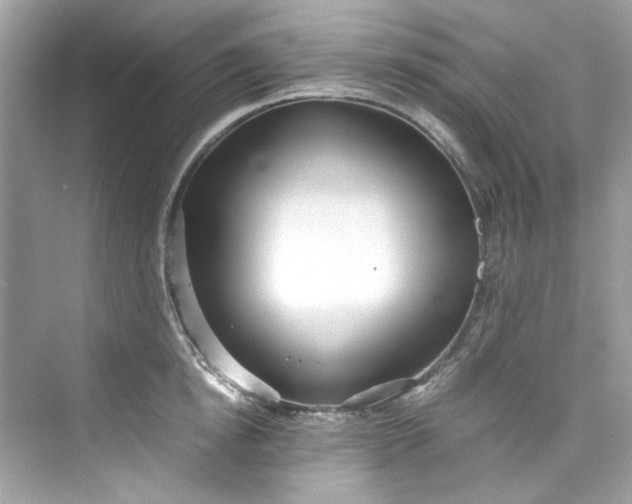 X0000075840854200609291436