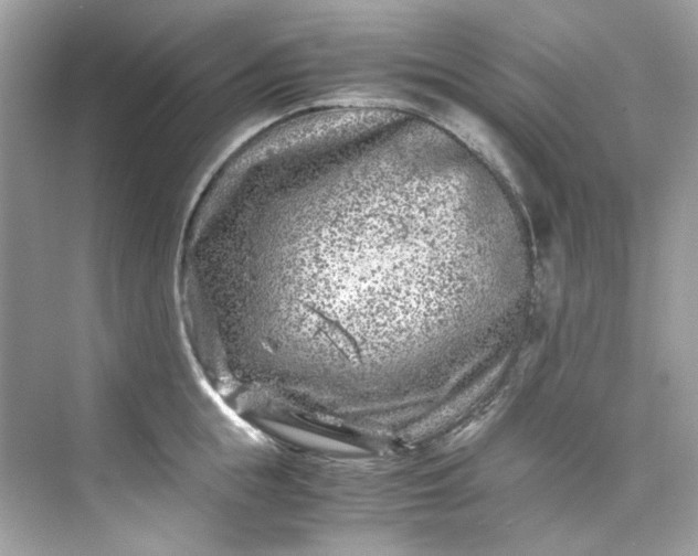 X0000075840855200609291436