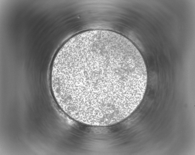 X0000075840856200609291436